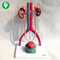 Urinary System Educational Body Parts Models Anatomical  30X15X20cm Pack
