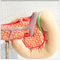 Plastic Human Anatomy Pancreas Spleen Duodenum Model High Precision