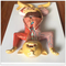 Life Size Cat Anatomy Model For Veterinarian Reference Multi Functional