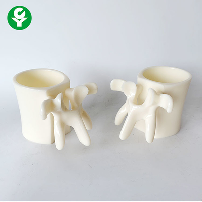 Vertebral Cup 	Human Body Parts Gift Advanced PVC Material Eco Friendly